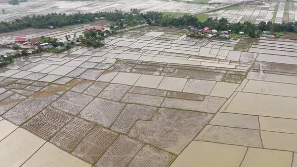 Agricultural Fields on the Island of Luzon