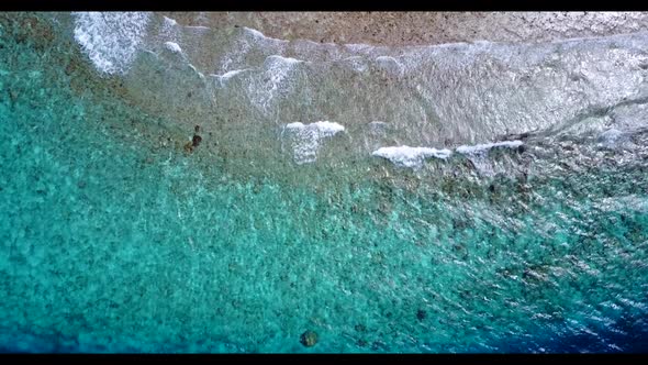 Aerial nature of idyllic island beach wildlife by turquoise lagoon with white sand background of adv