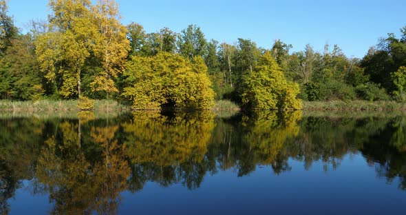 The pond Sainte Perine, Forest of Compiegne, Picardy, France.