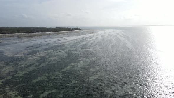 Ocean Low Tide Near the Coast of Zanzibar Island Tanzania