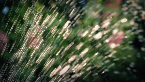 Sprinkler In Garden Closeup