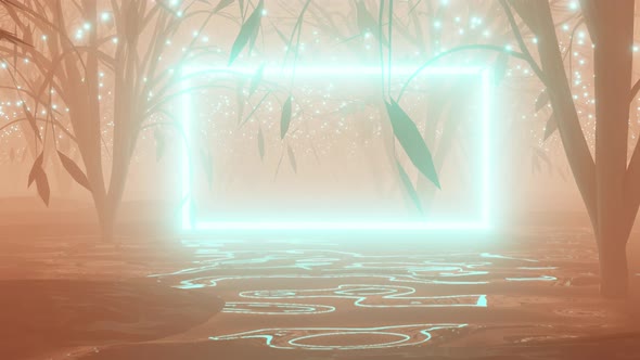 A looping animation of a 3D forest,Forest in the haze. Trees in the fog.