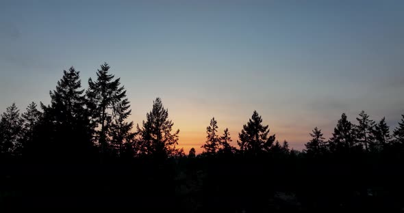 Aerial view of silhouetted trees in the sunset.