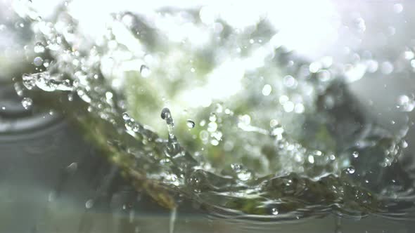 Aspargus stalks falling in water