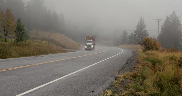 A logging truck drives by on a foggy highway in Bella Coola BC.