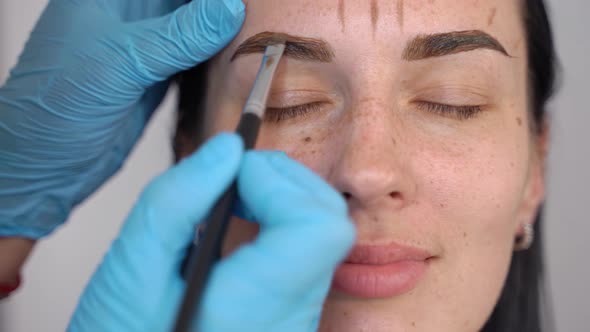 Closeup of a Beautiful Female Face on the Eyebrows with a Brush Apply Henna for Coloring the