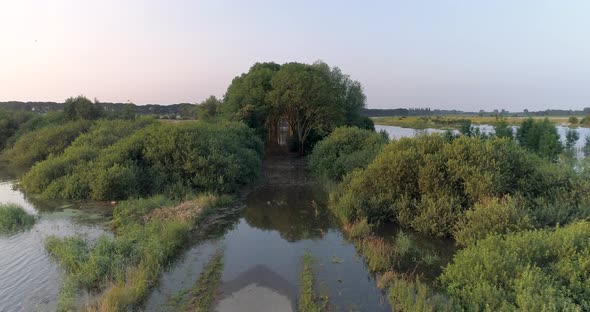 Aerial view of corn field along river Maas, The Netherlands.