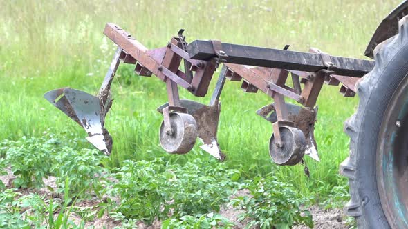 Agricultural Work on a Tractor Mechanized Potato Processing Potato Plowing