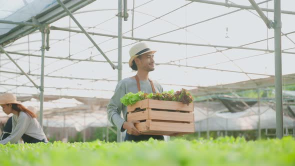 Asian farmers couple work in vegetables hydroponic farm with happiness.