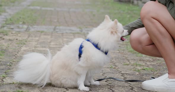 Woman train with her dog at outdoor