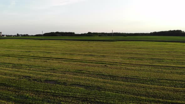 Flying Over Beautiful Country Side Landscape with Field and Trees, on Sunset, Aerial Shot, Drone