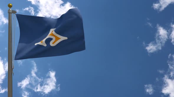 Shizuoka Prefecture Flag (Japan) On Flagpole