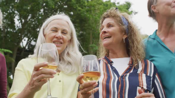 Animation of diverse happy senior female and male friends toasting with wine in garden