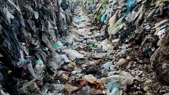 Garbage in the canals after the flood. Contaminated rivers with plastic waste.