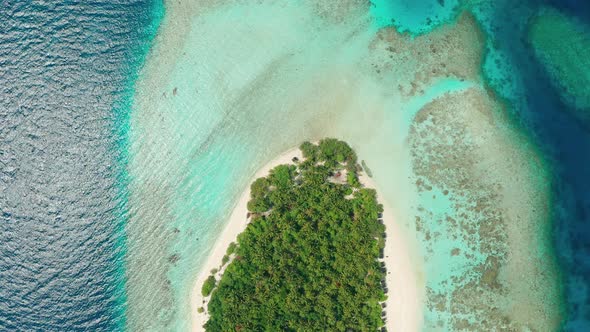 Flying a drone around a tropical island with coconut trees in the Maldives