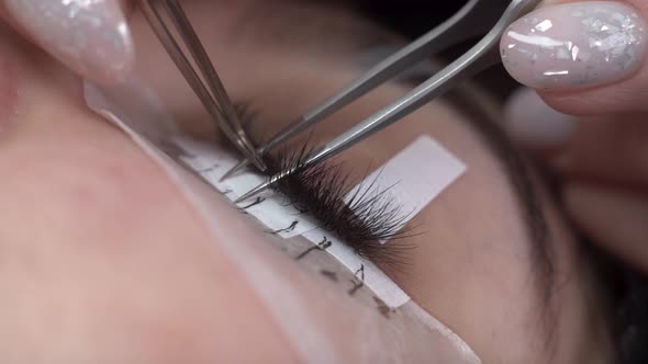 Eyelash Care Procedures Lamination and Eyelash Extensions