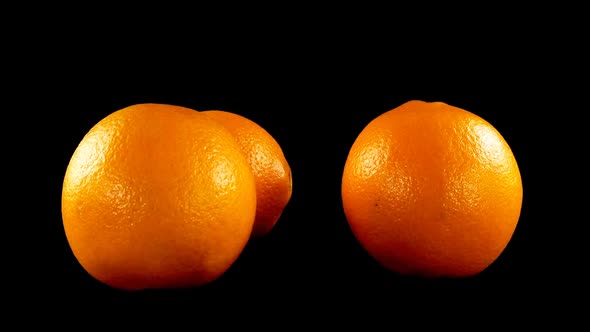 Oranges on a Black Background