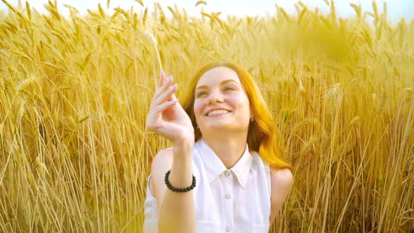Young Romantic Red Haired Woman Playing with Wheat Ear in Golden Wheat Field