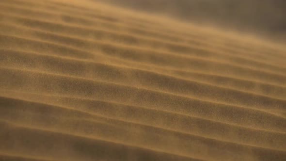 Sand Waving in the Wind in Dunes in Desert. Slow Motion Shot