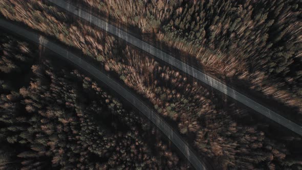 Curve of highway road between deep forest