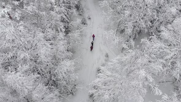 People Walk Along the Snowy Walking Trail