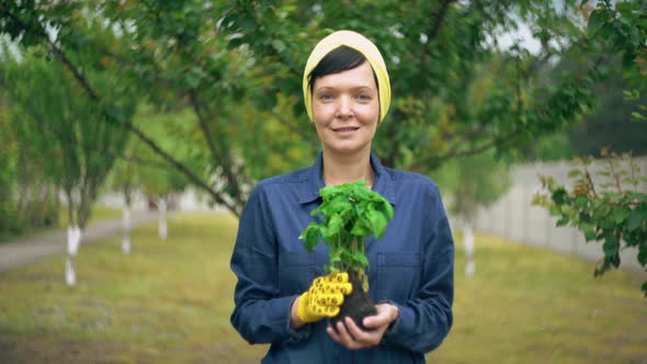 Female Gardener in the Garden