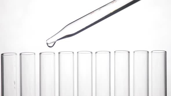 Pipette Drips Drops of Clean Chemicals Into the Test Tubes on White Background