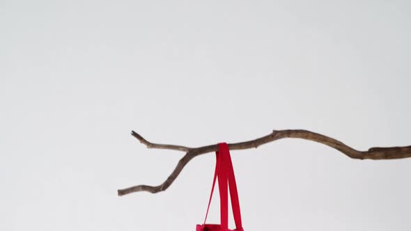 Handbag hanging on branch