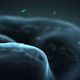 The model of a human brain on a dark background with floating particles. - VideoHive Item for Sale