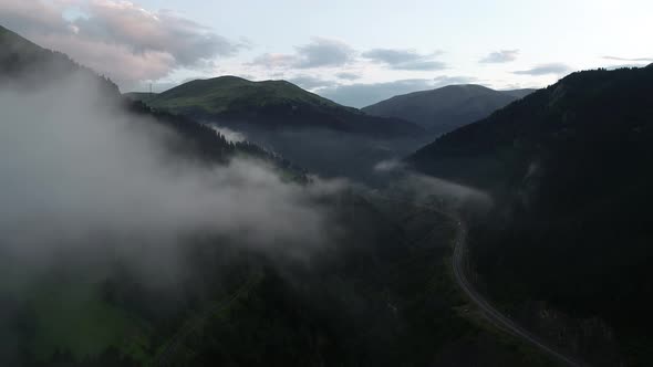 Fog Road In The Mountain Forest