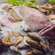 Close Up Footage of a Variety of Fresh Seafood on the Counter with Fine Crushed Ice Crabs Lobsters - VideoHive Item for Sale