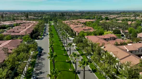 Aerial shot of neighborhood with palm trees