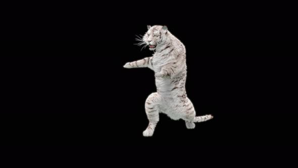 77 White Tiger Dual Weapon Combo 4K