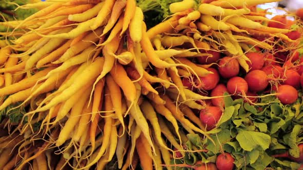 Organic vegetables from the local farm at the Summer Farmers Market.