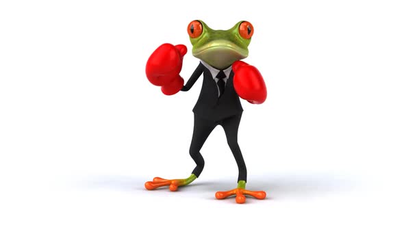 Fun frog boxing