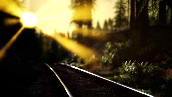 Autumn Colours Along a Railway Track at Sunset