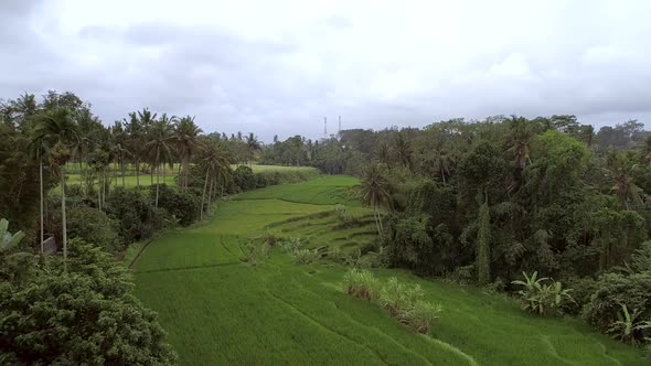 Aerial view of agricultural land in the countryside, Bali, Indonesia.