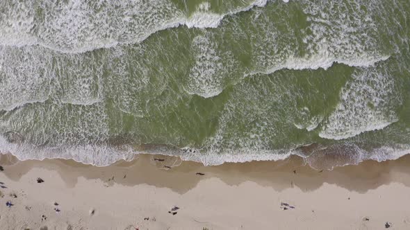 People are resting on the beach of the Baltic Sea