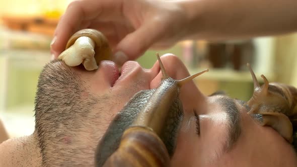 Handsome Man Receiving Snails Treatment at Spa Salon