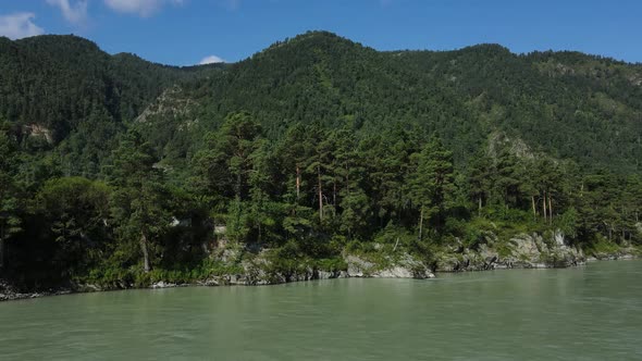 Pine Trees Located on the Banks of the River Against the Background of Mountains and Blue Sky