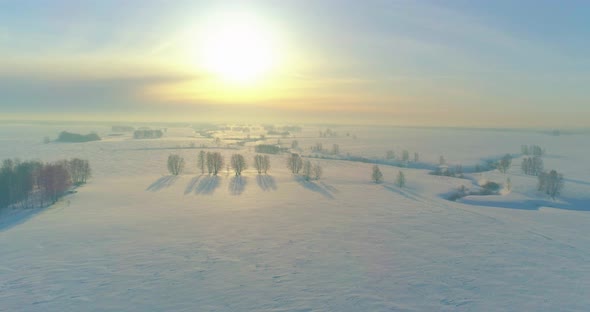 Aerial View of Cold Winter Landscape Arctic Field Trees Covered with Frost Snow Ice River and Sun