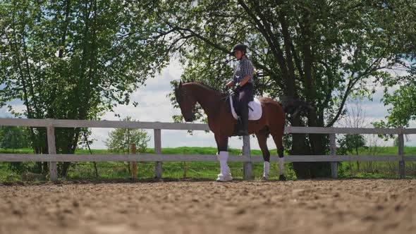 Female Jockey On The Back Of Her Bay Horse  The Horse Moving And Raising Dust