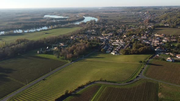 Aerial view bordeaux vineyard, landscape vineyard south west of france, europe