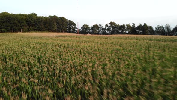 Moving forward from the field to the Eddy Covariance Tower