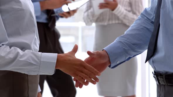 Business team shaking hands close up