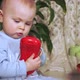 Concentrated Little Girl Holds a Red Toy in Her Hands and Carefully Examines It - VideoHive Item for Sale