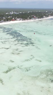 Vertical Video of Low Tide in the Ocean Near the Coast of Zanzibar Tanzania