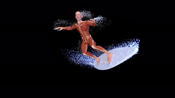 4K 3D anatomy man surfing