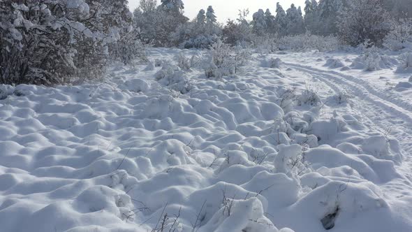 Snowed hill vegetation in the woods 4K drone video