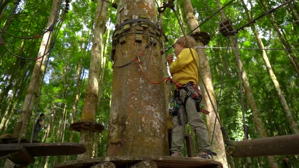 Slowmotion Shot of a Little Boy in a Safety Harness Climbs on a Route in Treetops in a Forest